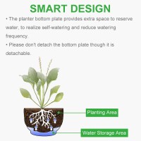 Growneer 2 Packs 8 Inches Plastic Hanging Planter Self Watering Basket With 6 Pcs Hooks Hanging Flower Pot With Detachable Base