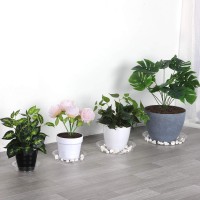 Growneer 24 Pack Of 6 8 10 12 Inches Clear Plant Saucer Drip Trays With 15 Pcs Plant Labels Plastic Plant Pot Saucers Flowe