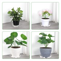 Growneer 24 Pack Of 6 8 10 12 Inches Clear Plant Saucer Drip Trays With 15 Pcs Plant Labels Plastic Plant Pot Saucers Flowe