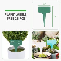 Growneer 24 Pack Of 6 8 10 12 Inches Clear Plant Saucer Drip Trays With 15 Pcs Plant Labels Plastic Plant Pot Saucers Flowe