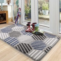 Color G Indoor Door Mat Super Absorbent Rugs For Entryway Front Door Mat Non Slip Washable Resist Dirt Entry Rug 20X32