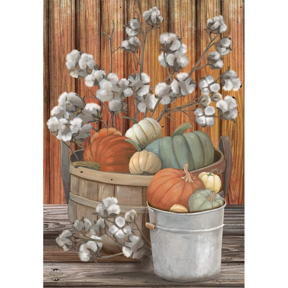 Pumpkins And Willows Autumn Fall House Flag 40 X 28 Briarwood Lane