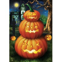 Briarwood Lane Halloween Decorations Home Decorations Halloween Door Banner House Flag Jack O Lantern Ghost Black Ca