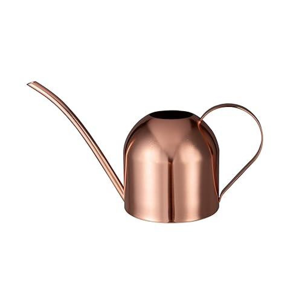 Imeea Indoor Watering Can For House Plants 33Oz1L Stainless Steel Watering Can With Long Spout Rose Gold