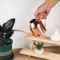 Imeea Indoor Watering Can For House Plants 33Oz1L Stainless Steel Watering Can With Long Spout Rose Gold