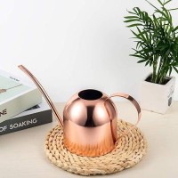 Imeea Indoor Watering Can For House Plants 33Oz1L Stainless Steel Watering Can With Long Spout Rose Gold