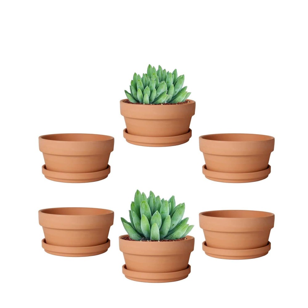 Vensovo 45 Inch Terracotta Shallow Succulent Pot 6 Pack Terra Cotta Clay Pots With Saucer Cacuts Terracotta Indoor And Outd