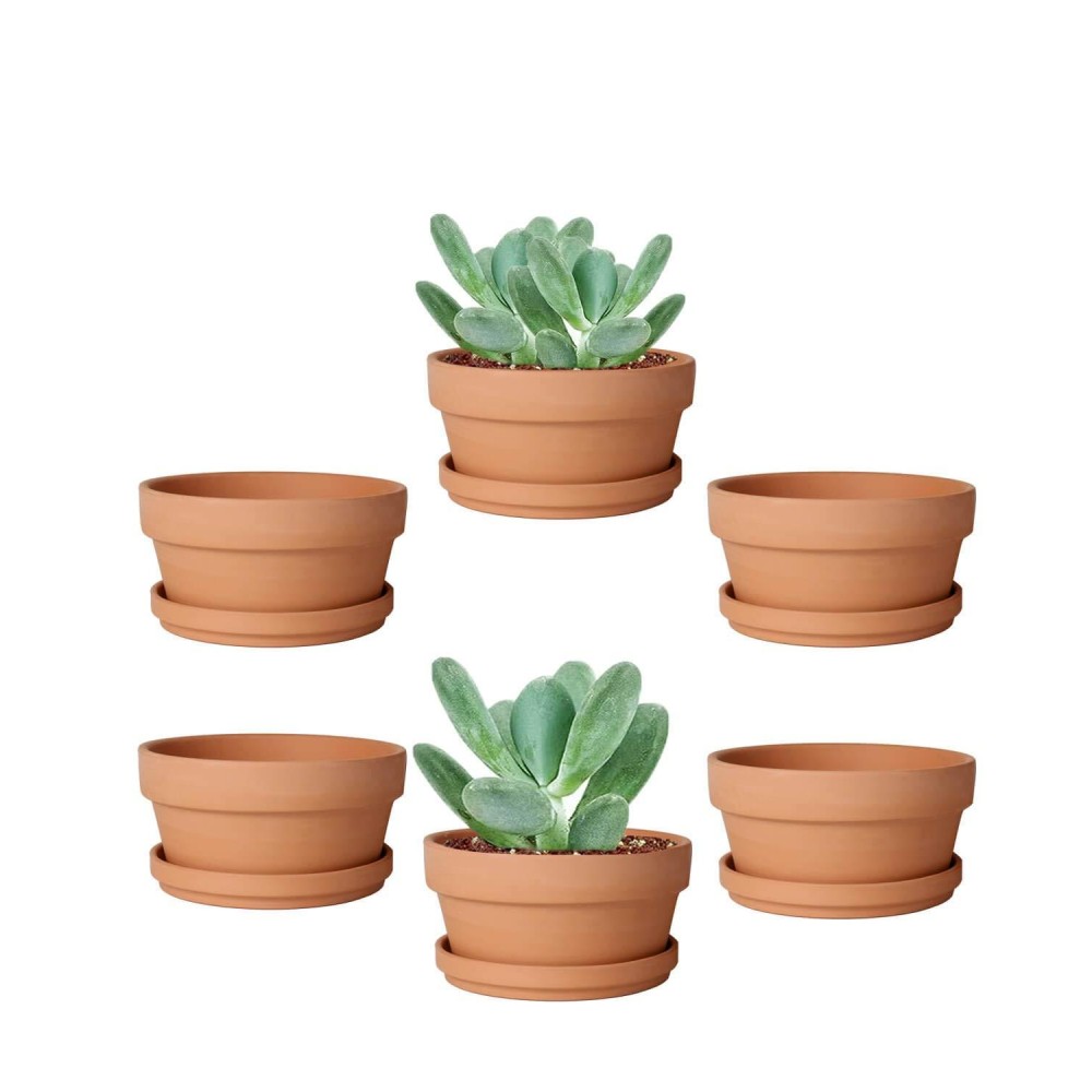 Vensovo 37 Inch Terracotta Shallow Succulent Pot 6 Pack Terra Cotta Clay Pots With Saucer Cacuts Terracotta Indoor And Outd