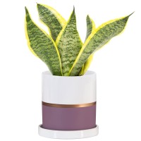 Ekirlin 4 Inch Plant Pot Ceramic Flower Planters Indoor Modern Succulents Containers With Drain Hole Saucer Decorate Home