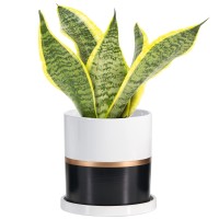 Ekirlin 6 Inch Plant Pot Ceramic Flower Planters Indoor Modern Succulents Containers With Drain Hole Saucer Decorate Home