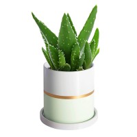 Ekirlin 5 Inch Plant Pot Ceramic Flower Planters Indoor Modern Succulents Containers With Drain Hole Saucer Decorate Home