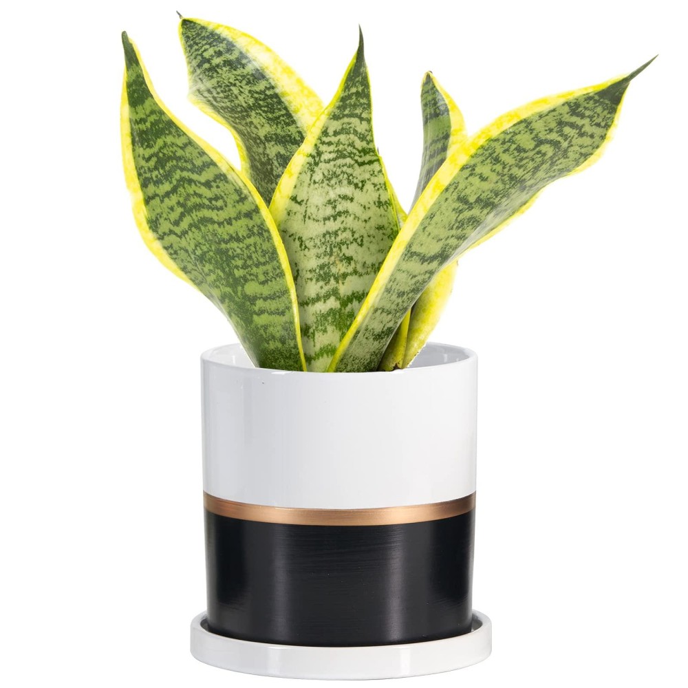 Ekirlin 5 Inch Plant Pot Ceramic Flower Planters Indoor Modern Succulents Containers With Drain Hole Saucer Decorate Home