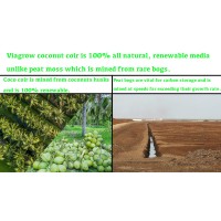 Viagrow Vccb650 Coco Coir 1 Pack Makes 2 Gallons 75 Liters 8 Quarts 650G Brick