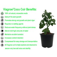 Viagrow Vccb650 Coco Coir 1 Pack Makes 2 Gallons 75 Liters 8 Quarts 650G Brick