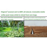 Viagrow Vccb6503 Coco Coir 3 Pack Makes 2 Gallons 75 Liters 8 Quarts 650G Brick