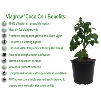 Viagrow Vccb6503 Coco Coir 3 Pack Makes 2 Gallons 75 Liters 8 Quarts 650G Brick