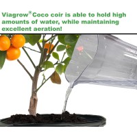 Viagrow Vccb6503 Coco Coir 3 Pack Makes 2 Gallons 75 Liters 8 Quarts 650G Brick