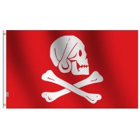 Red Pirate Henry Everys Jolly Roger Flag 3X5 Ft Large Moderateoutdoor Indoor Both Sides Heavy Duty100D Polyester Canvas Head