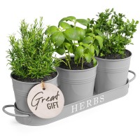 Barnyard Designs Indoor Herb Garden Planter Set With Tray Metal Windowsill Plant Pots With Drainage For Outdoor Or Indoor Plant