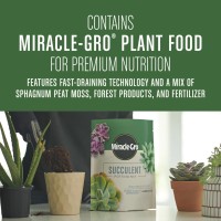 Miraclegro Succulent Potting Mix Fertilized Soil With Premium Nutrition For Indoor Cactus Plants Aloe Vera And More 4 Qt