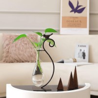 Marbrasse Desktop Glass Planter Hydroponics Vase Planter Bulb Vase With Holder For Home Decoration Modern Creative Bird Plant Terrarium Stand  Scindapsus Container (Water Drop Vase)