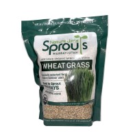 Nature Jims Sprouts Wheatgrass Seeds 100 Organic Wheat Grass Seed For Sprouting Cat Grass Planter Seeds Rich In Vitamins