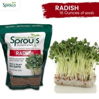 Nature Jims Radish Sprout Seeds - 16 Ounce Organic Sprouting Seeds - Non-Gmo Premium Radish Seeds - Resealable Bag For Longer Freshness - Rich In Vitamins  Minerals  Fiber