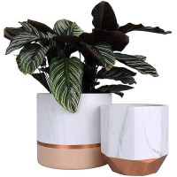 La Jolie Muse White Ceramic Flower Pots - 6.7 + 5.4 Inch Indoor Planters  Plant Containers In A Marble Ink Pattern With Rose Gold And Pink Detailing