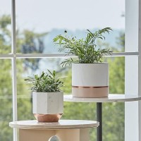 La Jolie Muse White Ceramic Flower Pots - 6.7 + 5.4 Inch Indoor Planters  Plant Containers In A Marble Ink Pattern With Rose Gold And Pink Detailing