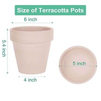 Vensovo 6 Inch Pink Clay Pot For Plant With Saucer 4 Pack Large Terra Cotta Plant Pot With Drainage Hole Flower Pot With Tray