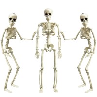 Xonor 16 Posable Halloween Skeleton Full Body Halloween Skeleton With Movable Joints For Haunted House Props Decorations 3P