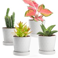 Efispss Flower Planter 5 Inch Ceramic Plant Pots With Drainage Holes And Ceramic Tray Gardening Home Desktop Office Windowsil