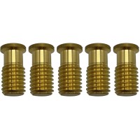 Poolzilla 5 Pack Pool Safety Cover Threaded Brass Insert Screw Bolt For Anchor