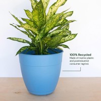 Bloem Dayton Recycled Plastic Planter 12 Blue Day1271