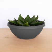 Bloem Terra Plant Bowl Planter 14 Charcoal