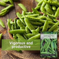 Sow Right Seeds - Sugar Snap Pea Seeds For Planting - Non-Gmo Heirloom Packet With Instructions To Plant A Home Vegetable Garden - Grow Tons Of Delicious Pods - Cool Season Crop  Super Productive (1)