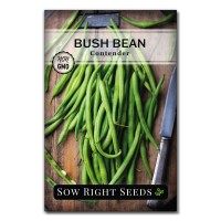 Sow Right Seeds Contender Bush Green Bean Seeds For Planting Nongmo Heirloom Seed Packet Stringless Variety To Plant An O