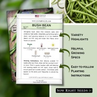 Sow Right Seeds Contender Bush Green Bean Seeds For Planting Nongmo Heirloom Seed Packet Stringless Variety To Plant An O