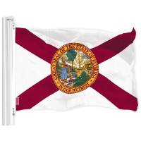 G128 Florida Fl State Flag 3X5 Ft Liteweave Pro Series Printed 150D Polyester Indooroutdoor Vibrant Colors Brass Gromme