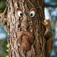 Innolites Tree Faces Decor Outdoor 12 Inch Tree Face Outdoor Statues Old Man Tree Hugger Bark Ghost Face Decoration Funny Yard