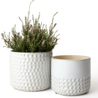 La Jolie Muse Ceramic Planter 6755 Inch Concave Dot Patterned Cylinder Flower Pot W Drain Hole For Indoor Set Of 2 Glaci