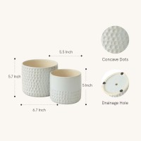 La Jolie Muse Ceramic Planter 6755 Inch Concave Dot Patterned Cylinder Flower Pot W Drain Hole For Indoor Set Of 2 Glaci