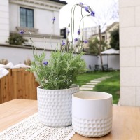 La Jolie Muse Ceramic Planter 6755 Inch Concave Dot Patterned Cylinder Flower Pot W Drain Hole For Indoor Set Of 2 Glaci