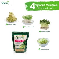 Nature Jims Sprouts Salad Sprout Mix Organic Salad Mix For Growing Nongmo Microgreen Seeds Healthy Broccoli Alfalfa Rad