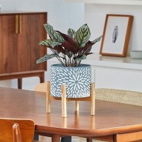 La Jolie Muse Ceramic Plant Pot With Wood Stand 8 Inch Unique Modern Flower Pots Indoor With Wood Planter Holder And Drainage