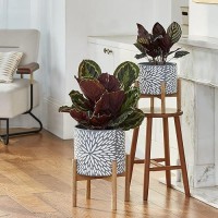 La Jolie Muse Ceramic Plant Pot With Wood Stand 8 Inch Unique Modern Flower Pots Indoor With Wood Planter Holder And Drainage