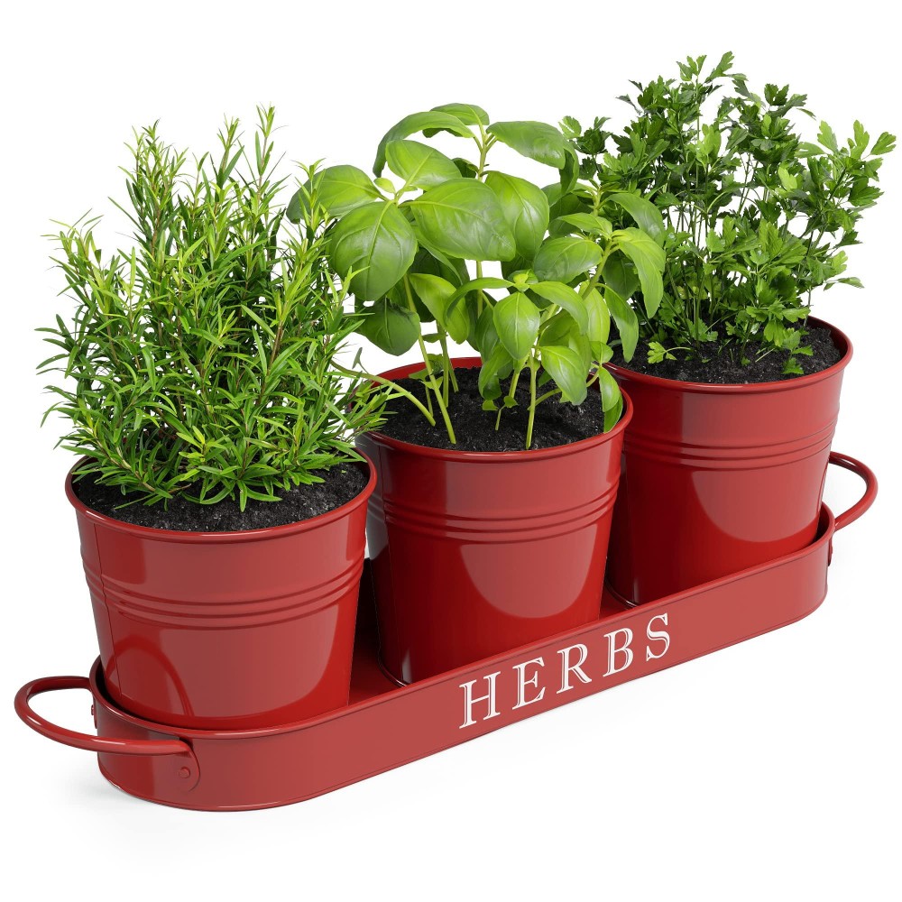 Barnyard Designs Farmhouse Herb Garden Planter Indoor Planter Set With Tray Or Outdoor Apartment Window Planter Box Windowsill