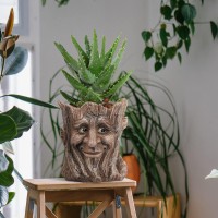 Eiiorpo Face Planter Pots Head Planter Flower Pots Succulent Planters Unique Planters For Outdoor Indoor Plants Halloween Ea