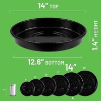 Mudeela 6 Pack Of 14 Inch Plant Saucer Durable Plastic Plant Trays For Indoors Plastic Flower Plant Pot Saucer Made Of Thicke