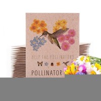 Bentley Seeds Wildflower Seed Mix Pre Filled Hummingbird Seed Packets 25 Annual Wildflower Seed Packs Perfect Ecofriendly